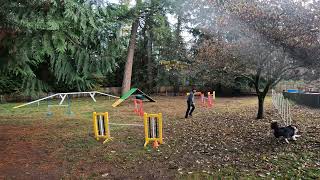 USDAA 113249 Agility Standard Starters Fable 163606 Course 1