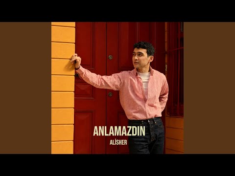 Anlamazdın