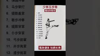 中国功夫——少林五步拳教程Chinese kongfu