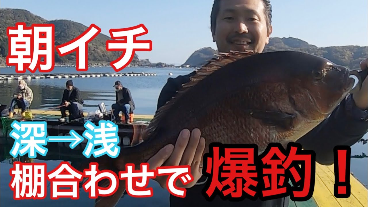 海上釣り堀 朝イチの深 浅の棚合わせで爆釣 フィッシングランド日向 Youtube 海上釣り堀 朝イチの深 浅の棚合わせで爆釣 フィッシングランド日向 Youtube