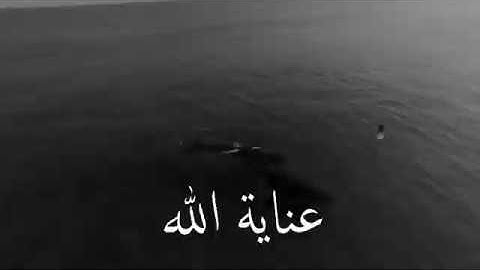 حالات دينية // قران كريم بصوت احمد العجمي // تلاوة جميلة // مقاطع دينية