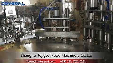 ZLD 6A Full automatic Spout pouch filling capping machine