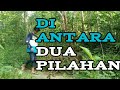 Filim pendek di antara dua pilihan