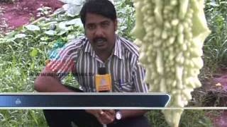 Farmers unknowingly using dangerous pesticides for farming in Thrissur