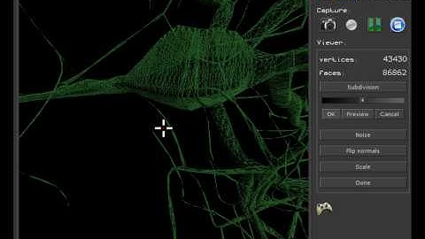 NiC (Neurons in CUDA)
