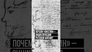 Почему «Евгений Онегин» — энциклопедия русской жизни? #пушкин #онегин #интересныйфакт