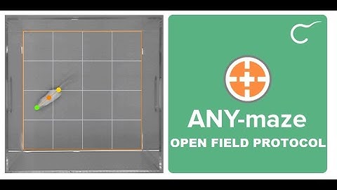Open-Field Test Protocol in AnyMaze Software