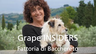Grape INSIDERS: Fattoria di Bacchereto in Carmignano