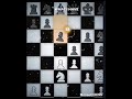 Polish Immortal [6 way Collab] #chess