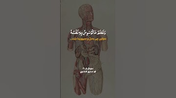 ارح سمعك وعقلك وقلبك🌷 تلاوة تريح القلب والروح بصوت المنشاوي #منشاوي #محمد_صديق_المنشاوي #quran