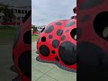 Naoshima - Red Pumpkin