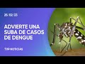 Aumentaron los casos de dengue en la Argentina