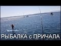 2015 Рыбалка с Причала, Камбала Бычки и Другая Рыба, Как Ловить, Жизнь в США, Тихий Океан, Сиэтл