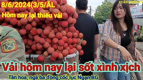 cập nhật giá vải hôm nay 8/6/2024 vải thiều ,vải thanh Hà u hồng giá cao sốt chở lại