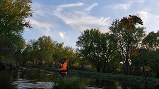 Big Brookies on the Fly