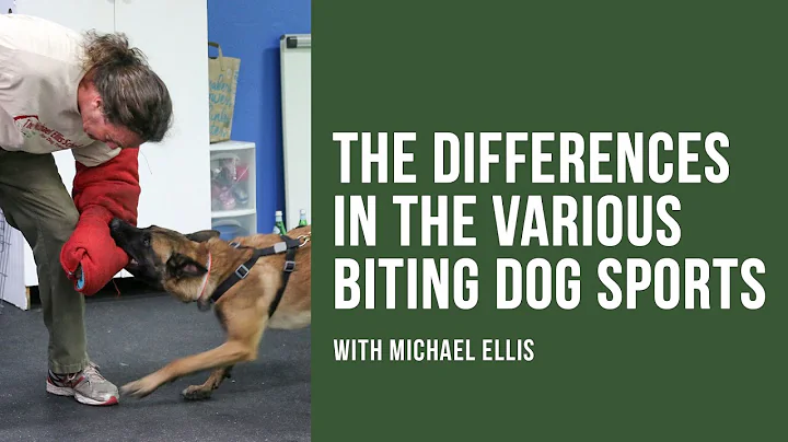Michael Ellis on the Differences in the Various Biting Dog Sports