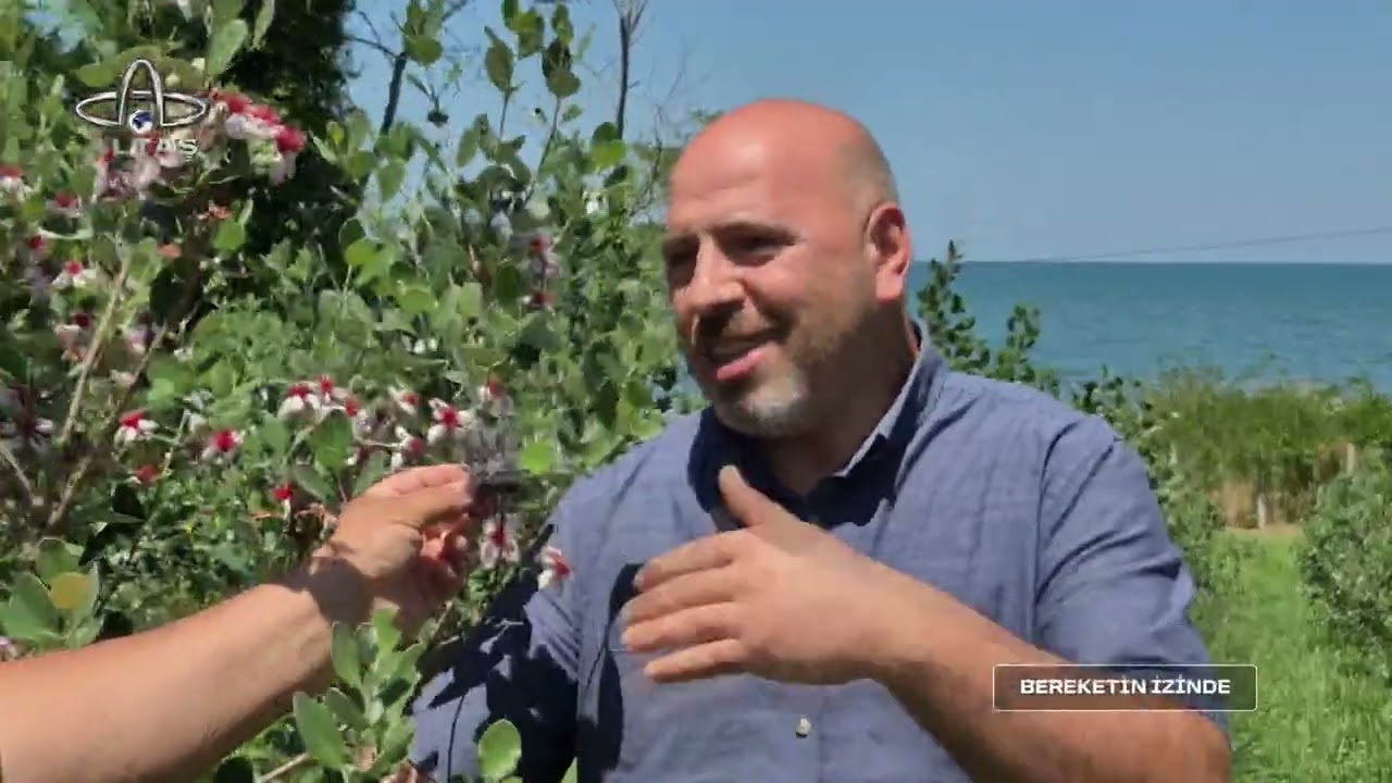 Bereketin İzinde Feijoa (Kaymak Ağacı) Meyve Bahçesi | 2. Bölüm