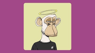 10 Top @Punk6529 NFTs by ART-LIST.COM