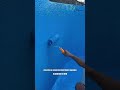 Blue Kingfisher Swimming Pool Waterproof Coating | Durable and Prevents Leakage