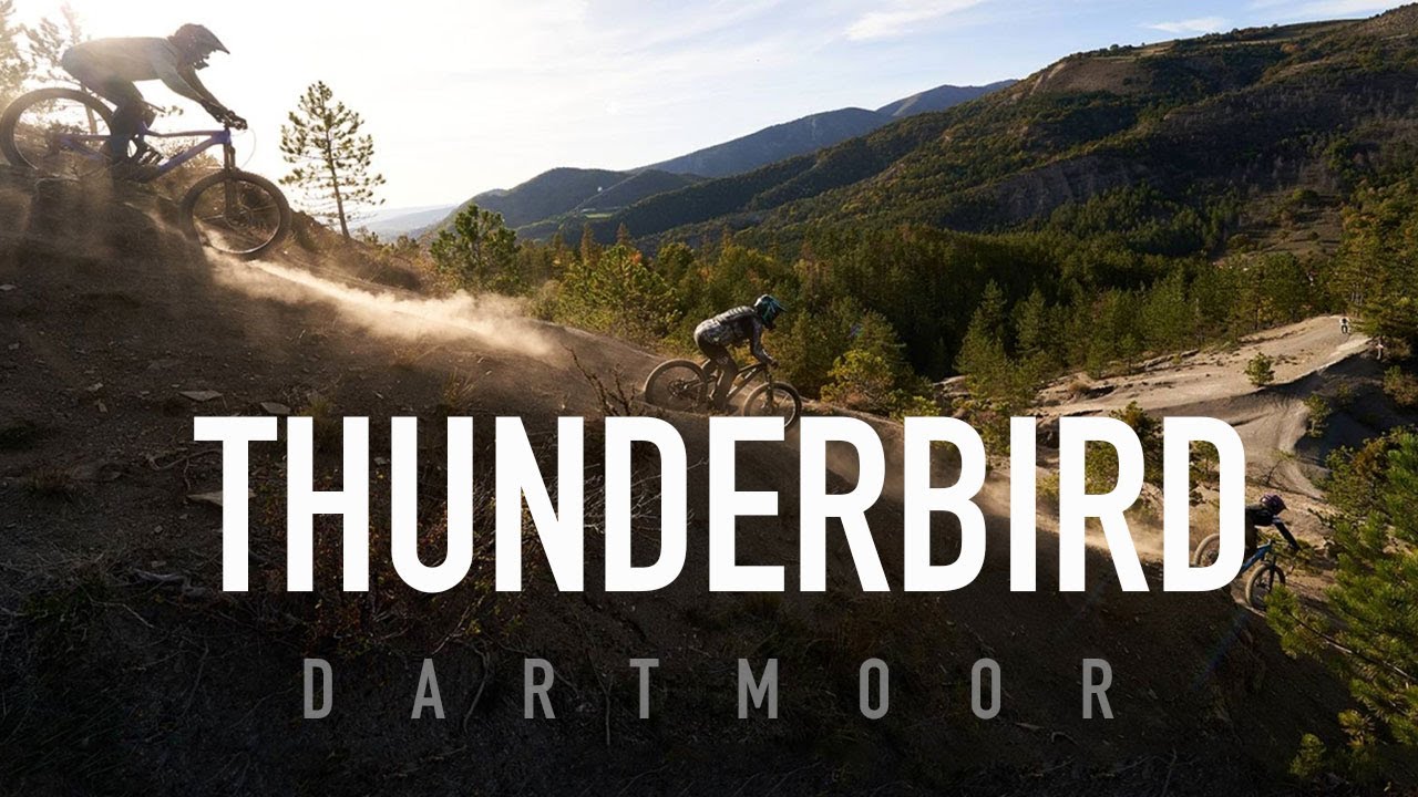 DARTMOOR THUNDERBIRD