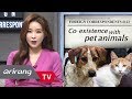 [Foreign Correspondents] Ep.123 - Animal rights in South Korea _ Full Episode