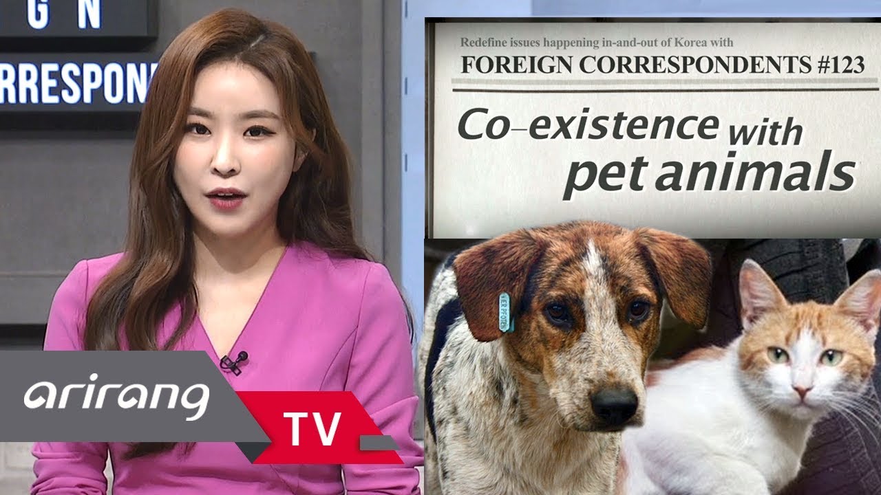 [Foreign Correspondents] Ep.123 - Animal rights in South Korea _ Full