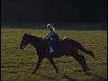 Comm. One Vignette - Horse【Reebok Basketball】