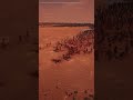 Rising Human Armies vs Uruk-Hai at the Shore  #uebs2 #history #ultimateepicbattlesimulator2