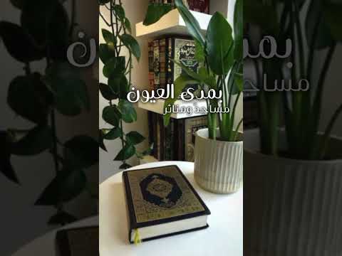 ملأ السماء النور حين تألقت أناشيد اناشيد اسلامية