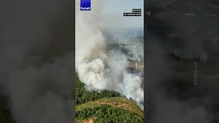 Beykozda Orman Yangını