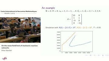 Péter Nándori: On the mean field limit of stochastic reaction networks