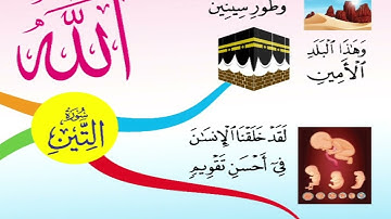 هيا أحبتي نحفظ سورة التين مع الخريطة الذهنية 🌷🌿