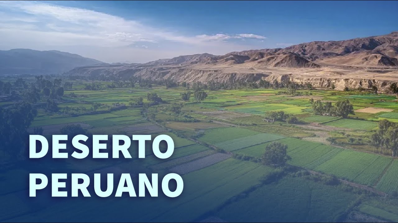 Região de deserto no Peru passa a produzir alimentos