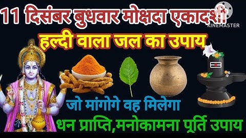 11 दिसंबर बुधवार मोक्षदा एकादशी को हल्दी वाला पानी का उपाय जरूर करें ll Pradeep Mishra today upay
