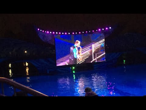 Sea world one ocean