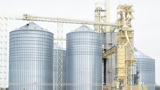 This is How Grain Elevators Work | Hauling Soybeans!