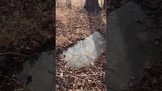 Ford’s Ferry Road—James Ford Family Cemetery (Crittenden County, Kentucky)