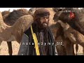 جديد أحمد ابراهيم عرب عرب مشتاقيلك شوق النوق لمن نسير لهلها حالات وتس اب جديد أحمد ابراهيم عرب عرب مشتاقيلك شوق النوق لمن نسير لهلها حالات وتس اب