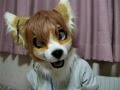 Kemonosuit 2011