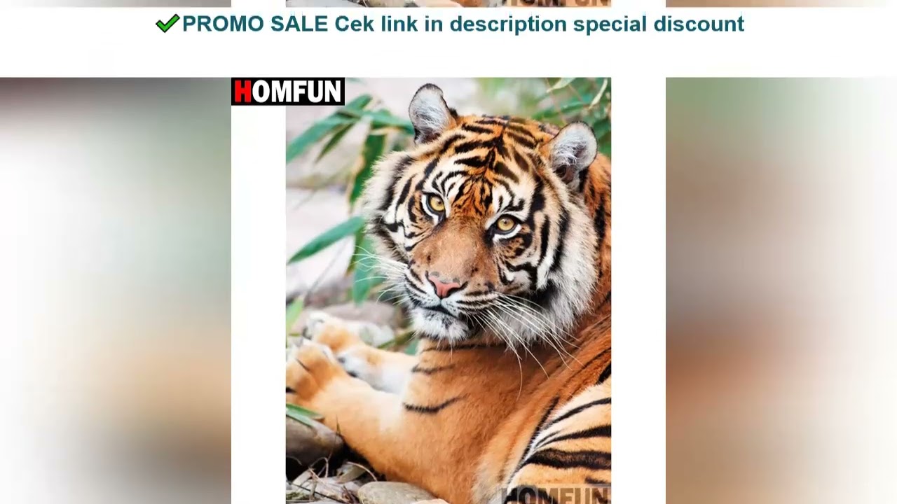 HOMFUN Full Square/Round Drill 5D DIY Diamond Painting "tiger" Cross Stitch 5D Home Decor A07522