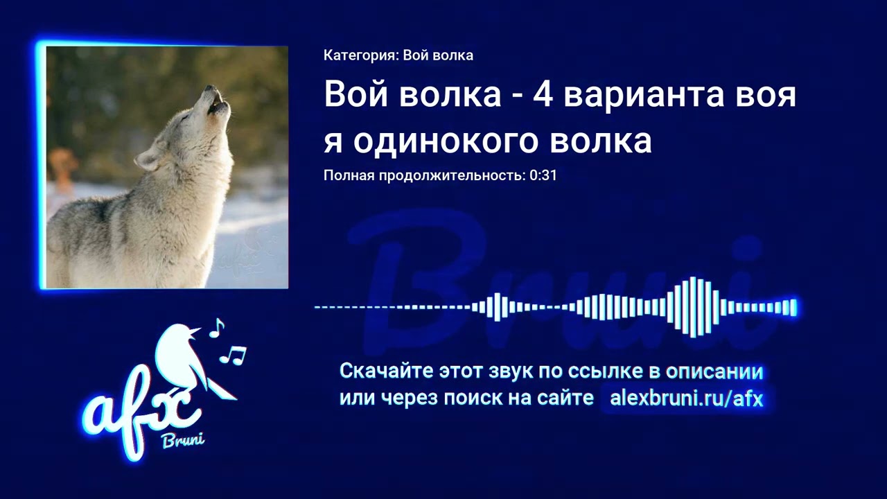 Звук: Вой волка - 4 варианта воя одинокого волка