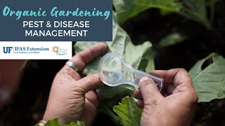 Organic Gardening Series: Pest and Disease Management by UF IFAS Extension Manatee County 166 views 2 years ago 1 hour, 26 minutes