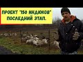 САМЫЙ ДОЛГОЖДАННЫЙ ПЕРИОД в ПРОЕКТЕ "150 ИНДЮКОВ"