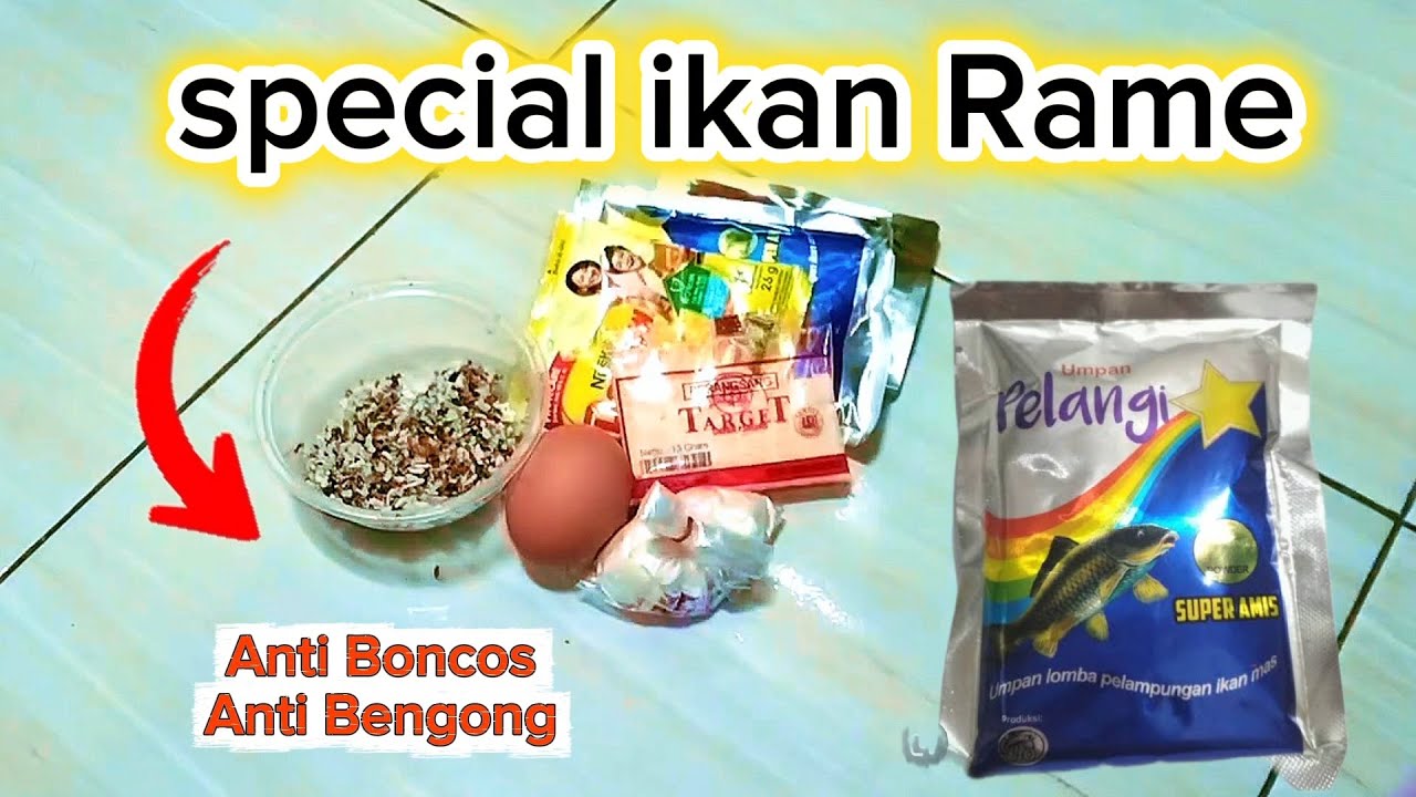 PASTI NOTAL!! UMPAN SUPER AMIS GACOR//IKAN LAMA IKAN BARU MAKAN LOMBA MAUPUN HARIAN