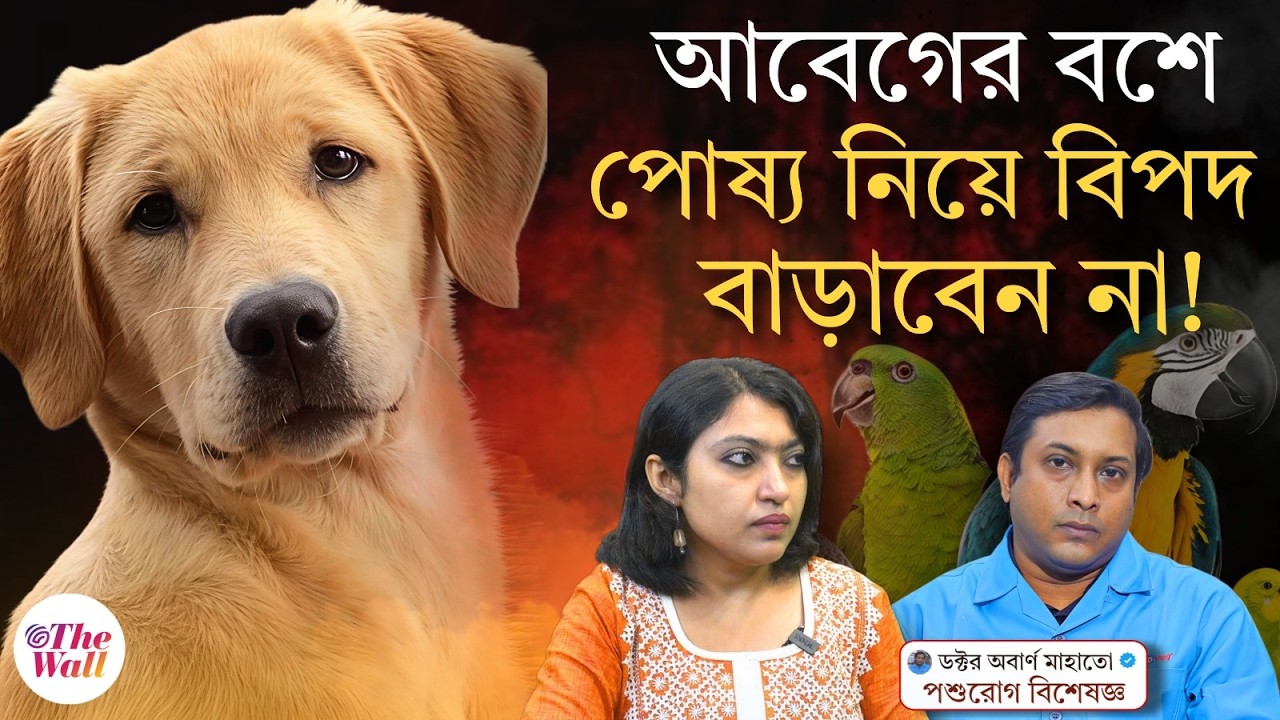 Pet Lover | Vet Doctor Podcast | বাড়িতে পোষ্য আনলেই হল না, যত্নের কথাও মাথায় রাখতে হবে