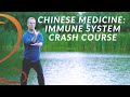 Immune System Crash Course: How the Immune System Works Based on Traditional Chinese Medicine