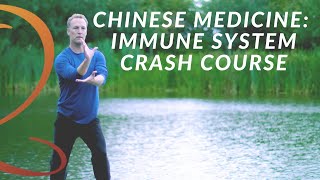 Immune System Crash Course: How the Immune System Works Based on Traditional Chinese Medicine