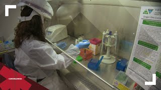 What we know after 2 people in Colorado test positive for coronavirus