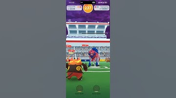 zamanenta raid, Shield form