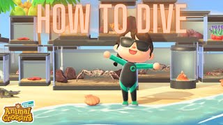 Beginners Guide to Diving for Sea Creatures | Animal Crossing New Horizons